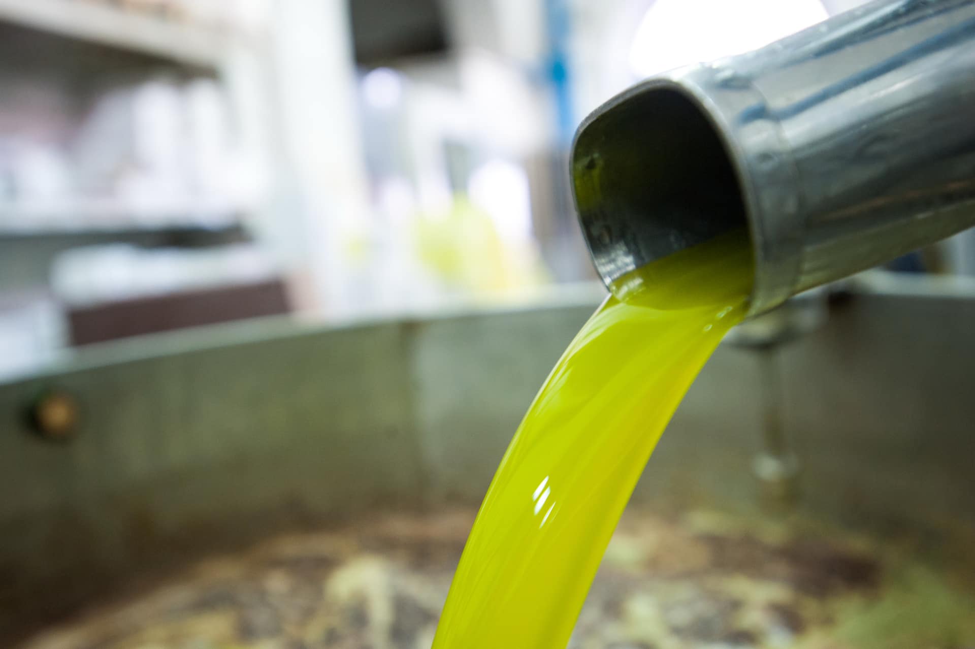 La qualità dell'Olio EVO italiano è apprezzata all'estero