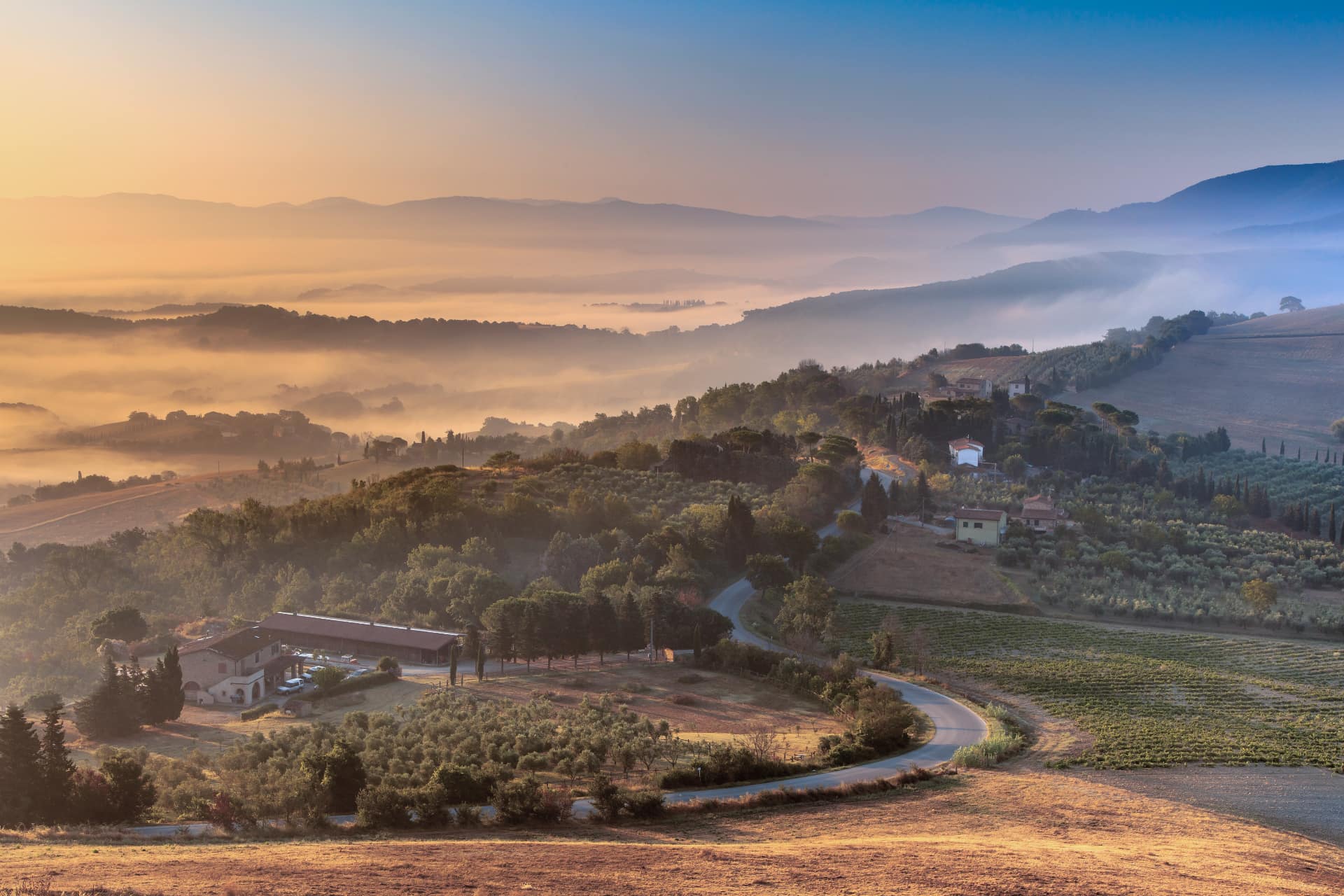 Colline toscane