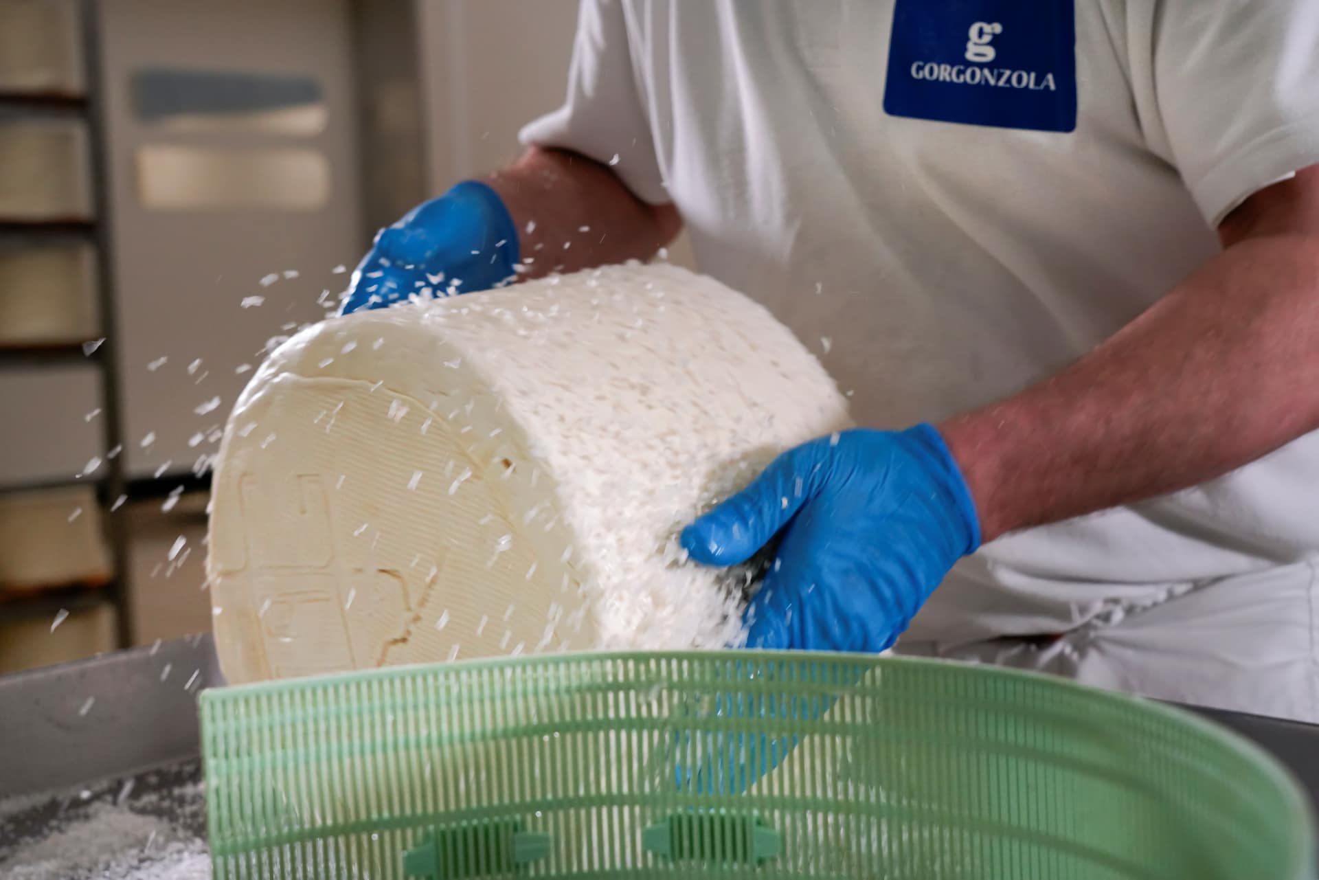 Produzione Gorgonzola DOP