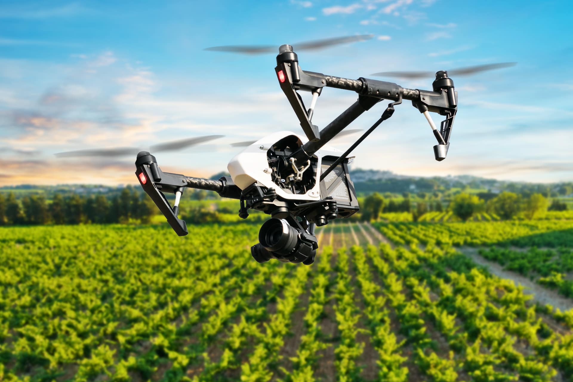Vigneto controllato con un drone
