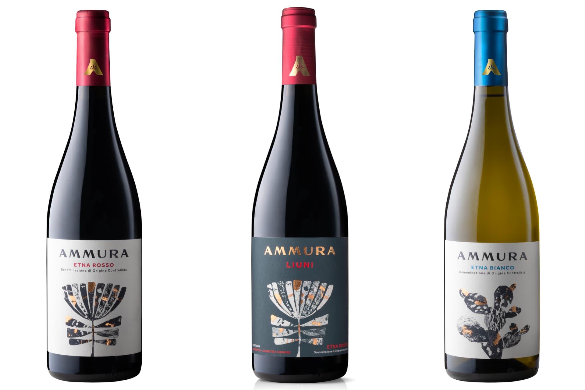 Ammura vini