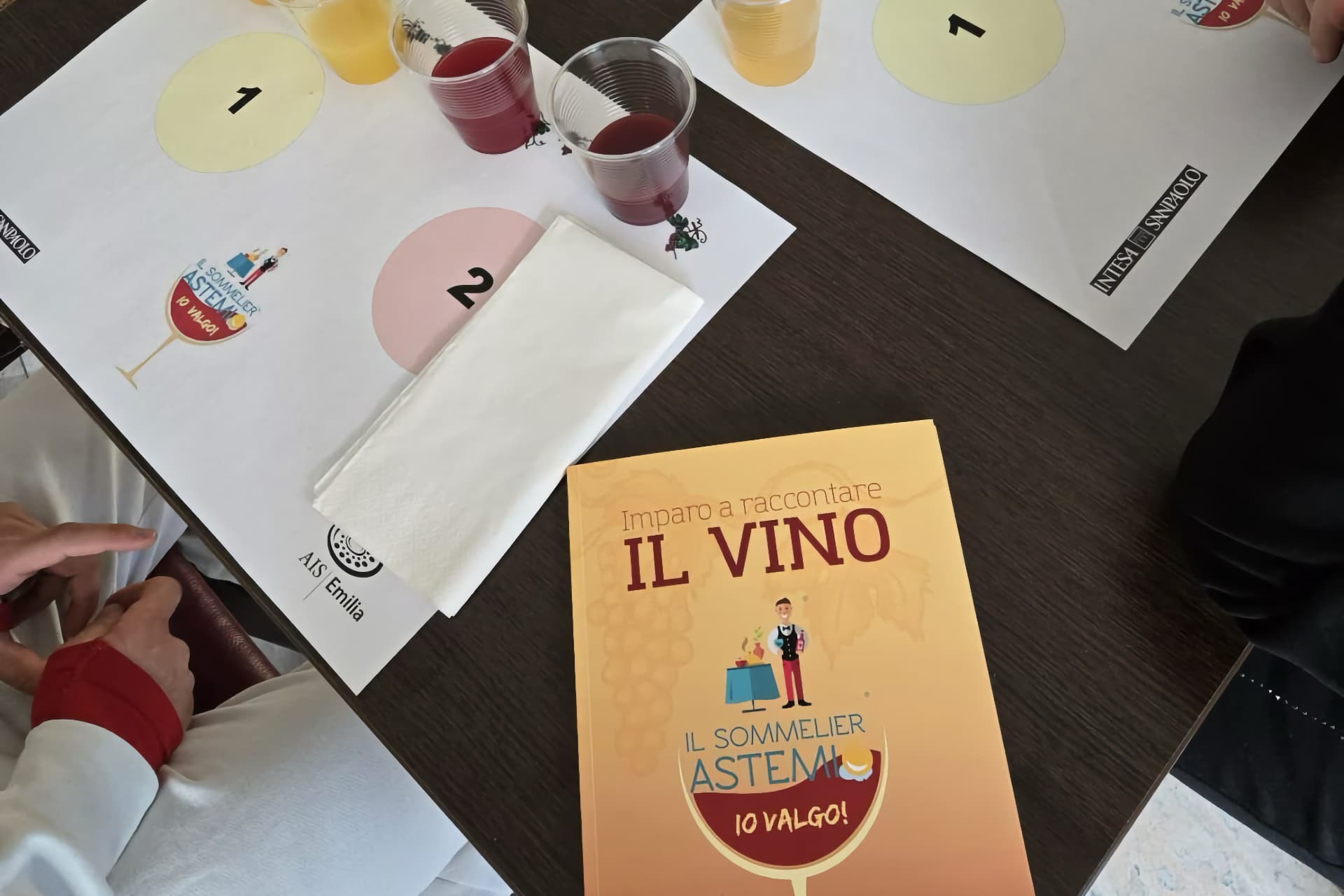 Il Sommelier Astemio - copertina del libro - Foto AIS-Emilia