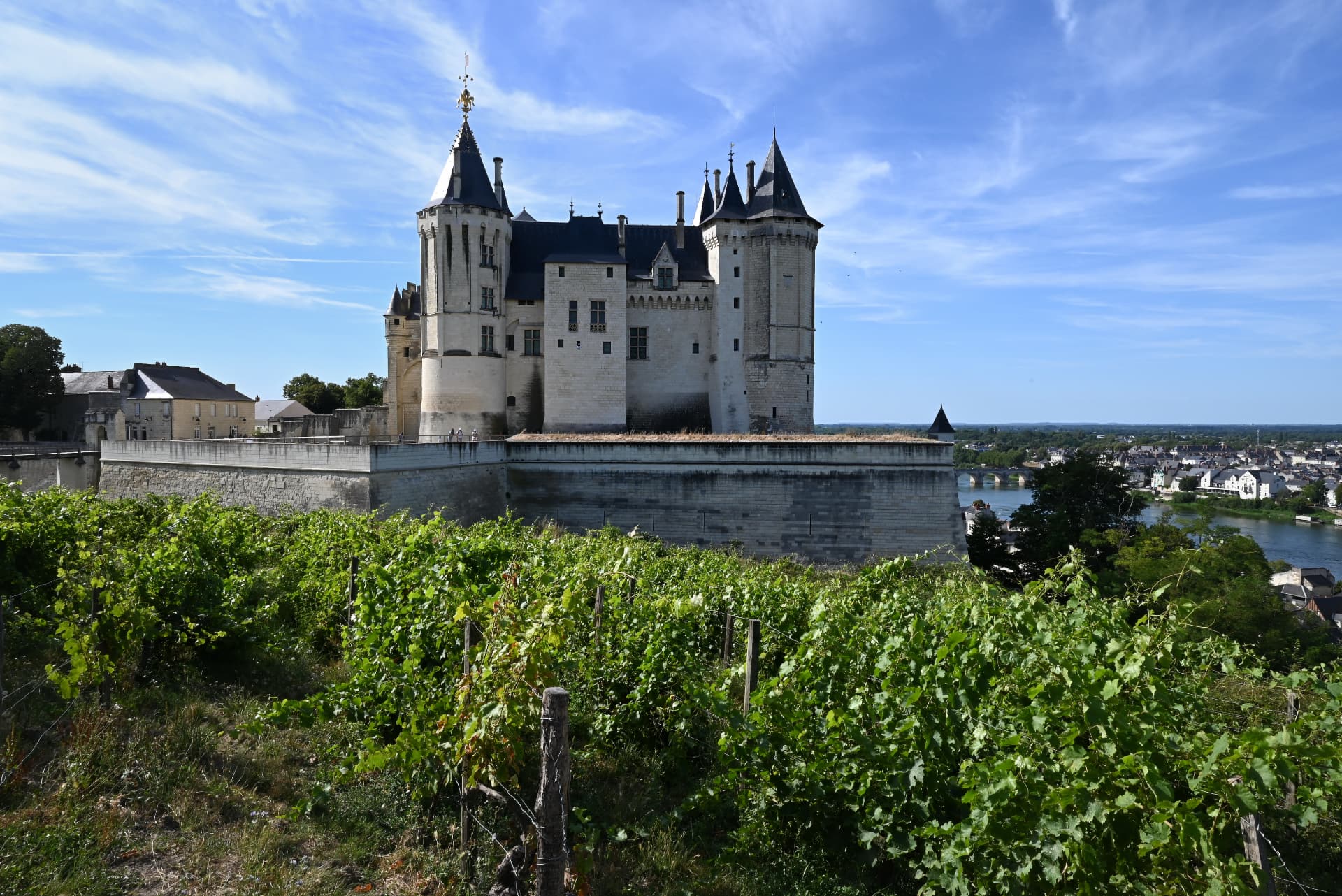 Castello di Saumur con vigneti