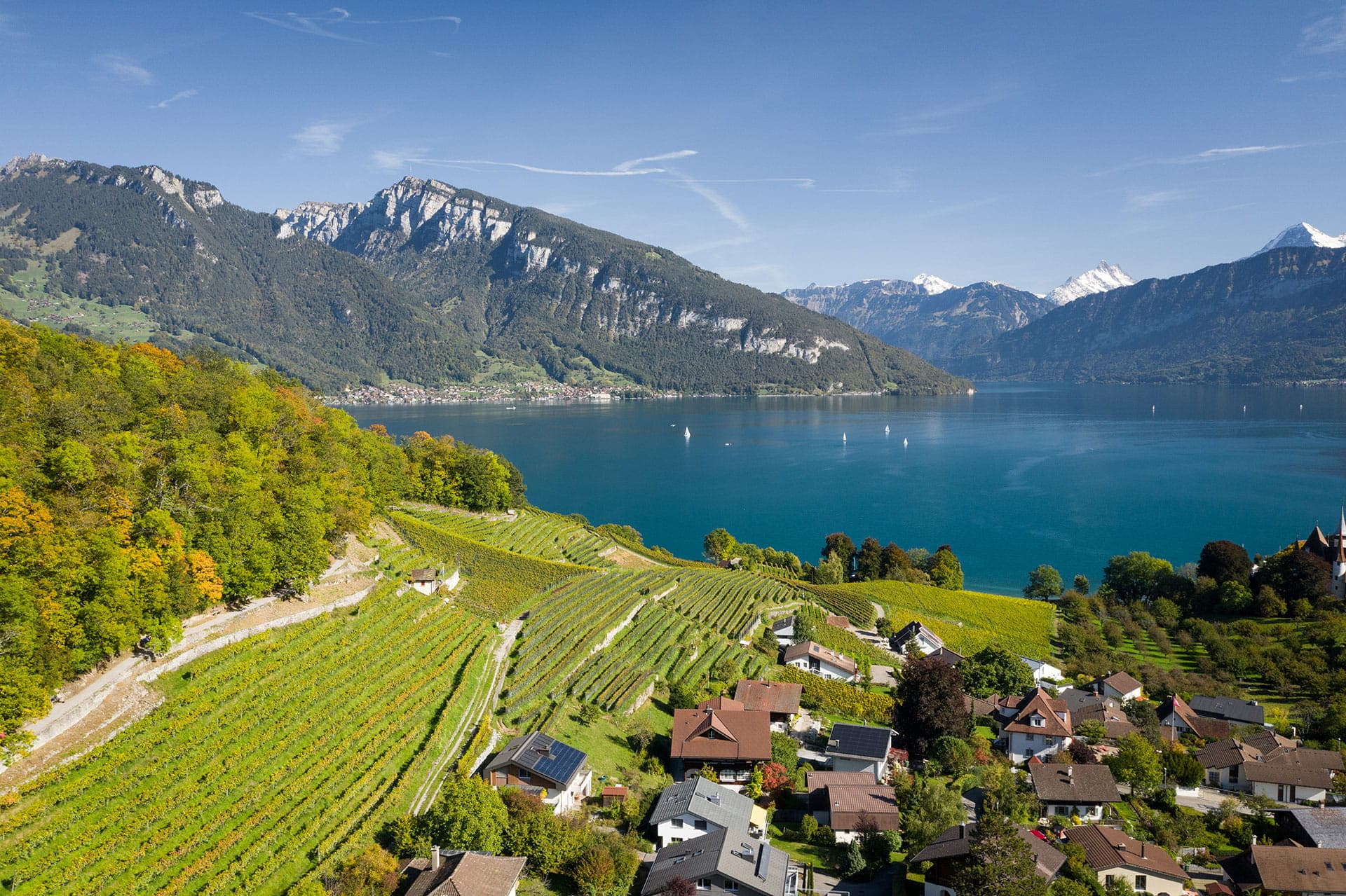 Lago di Thun