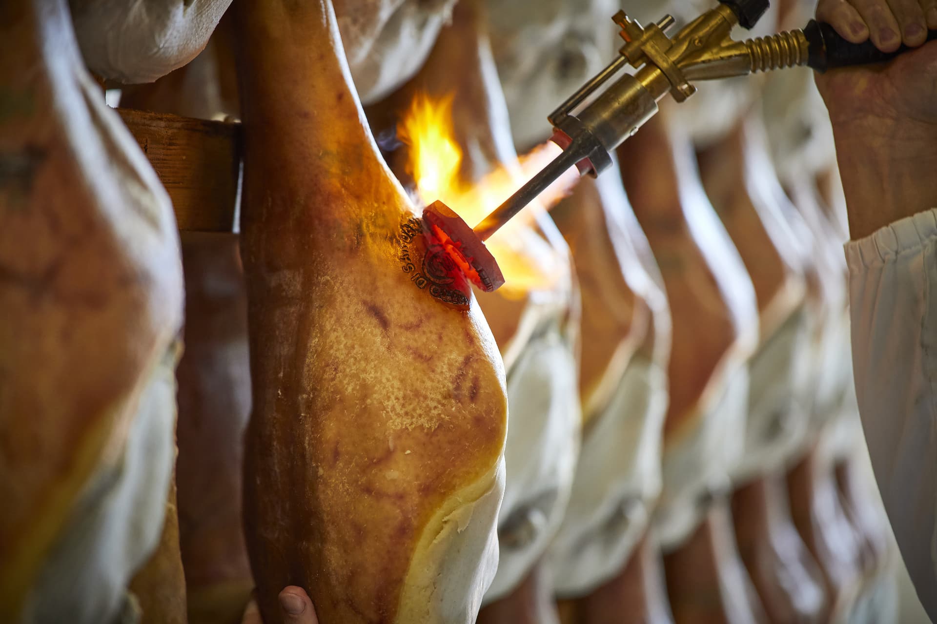 Marchiatura del Prosciutto di San Daniele