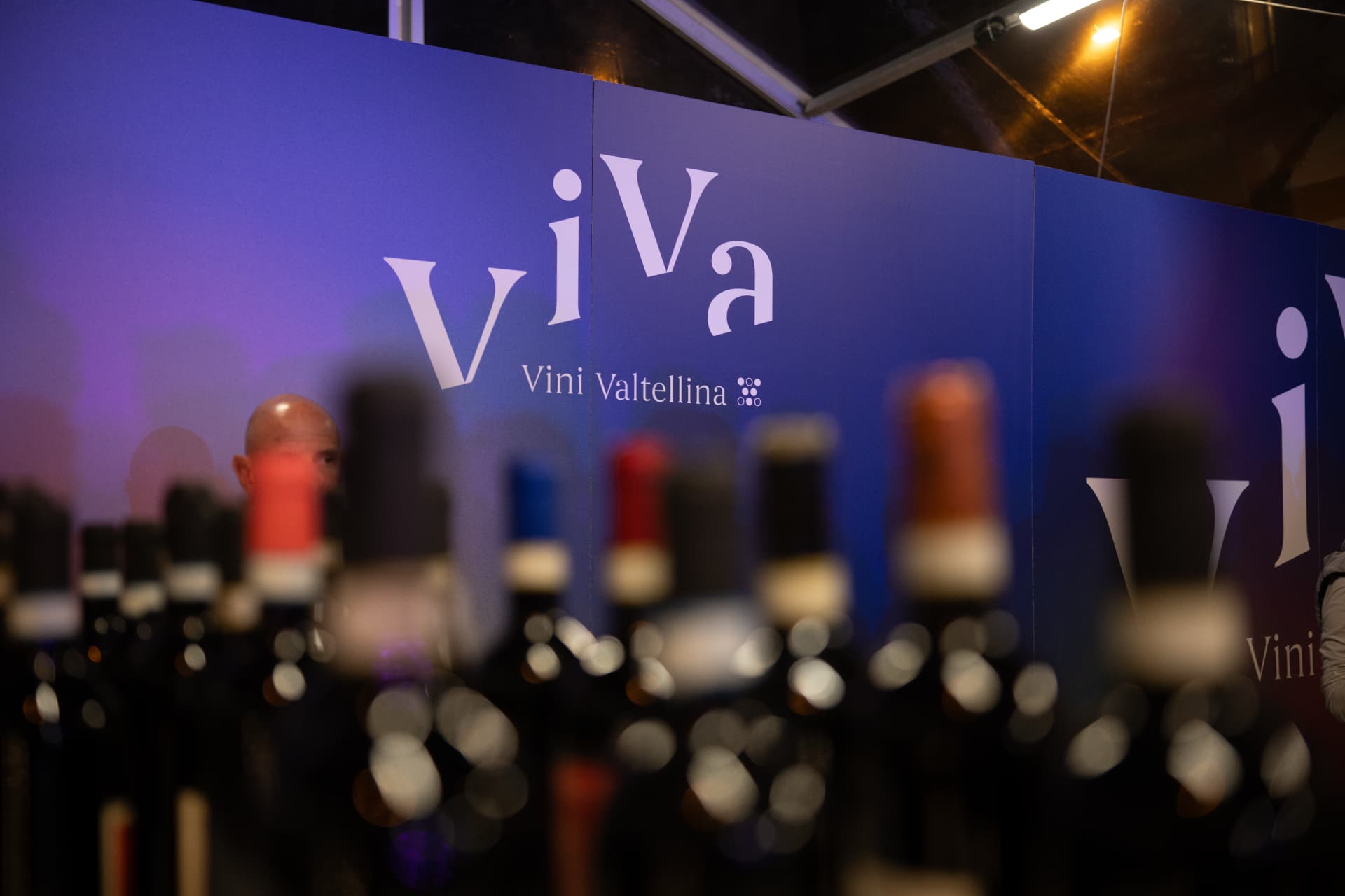 ViVa Vini Valtellina