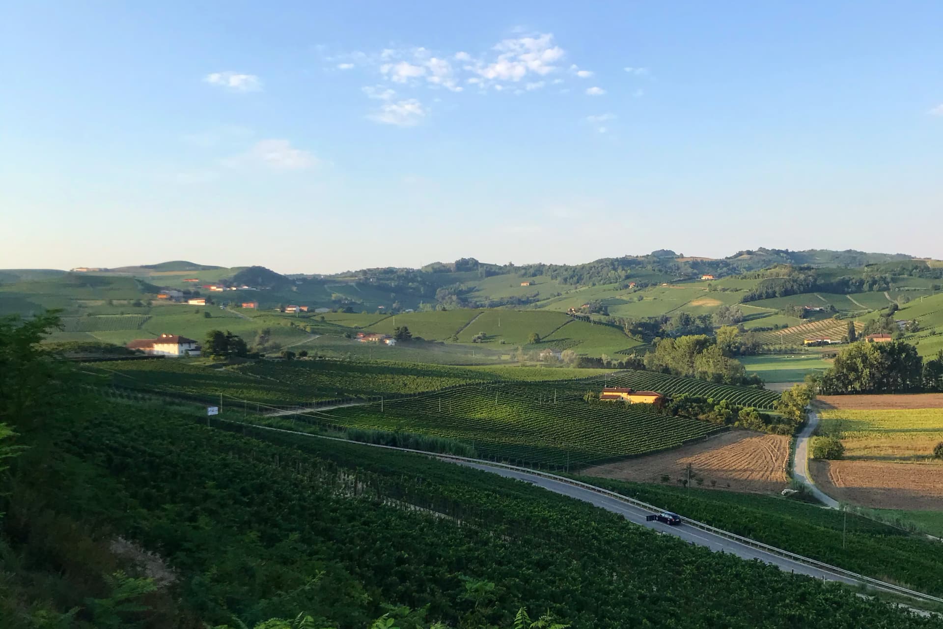 Vigneti Frasca La Guaragna