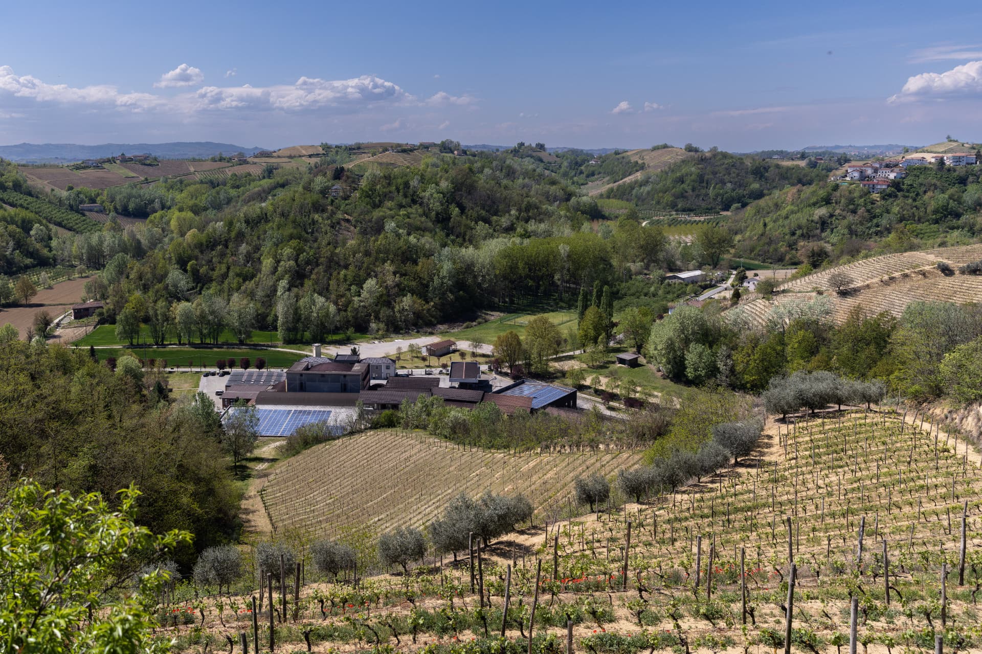 Cantina Vinchio Vaglio panorama