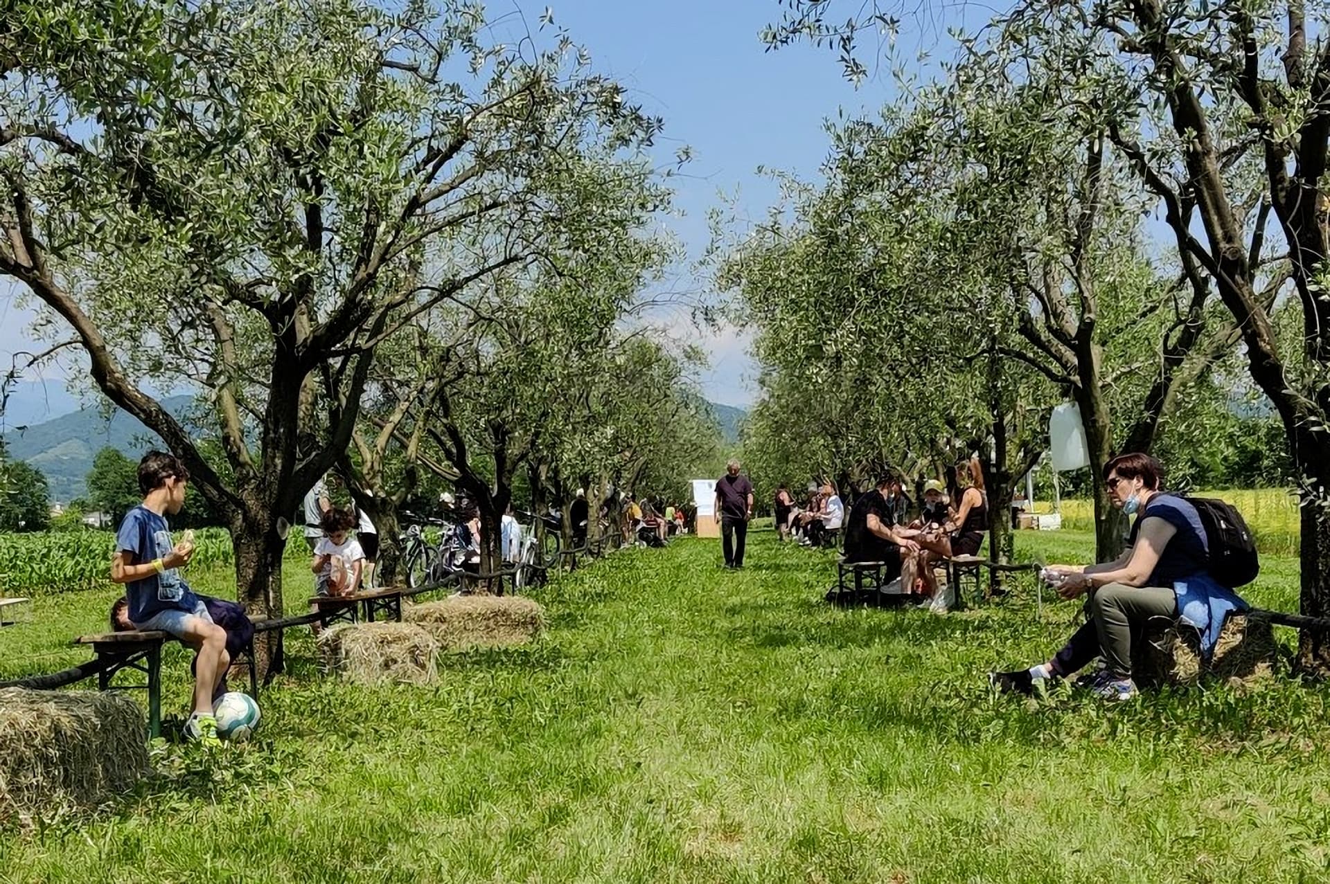 Merenda nell'Oliveta - repertorio