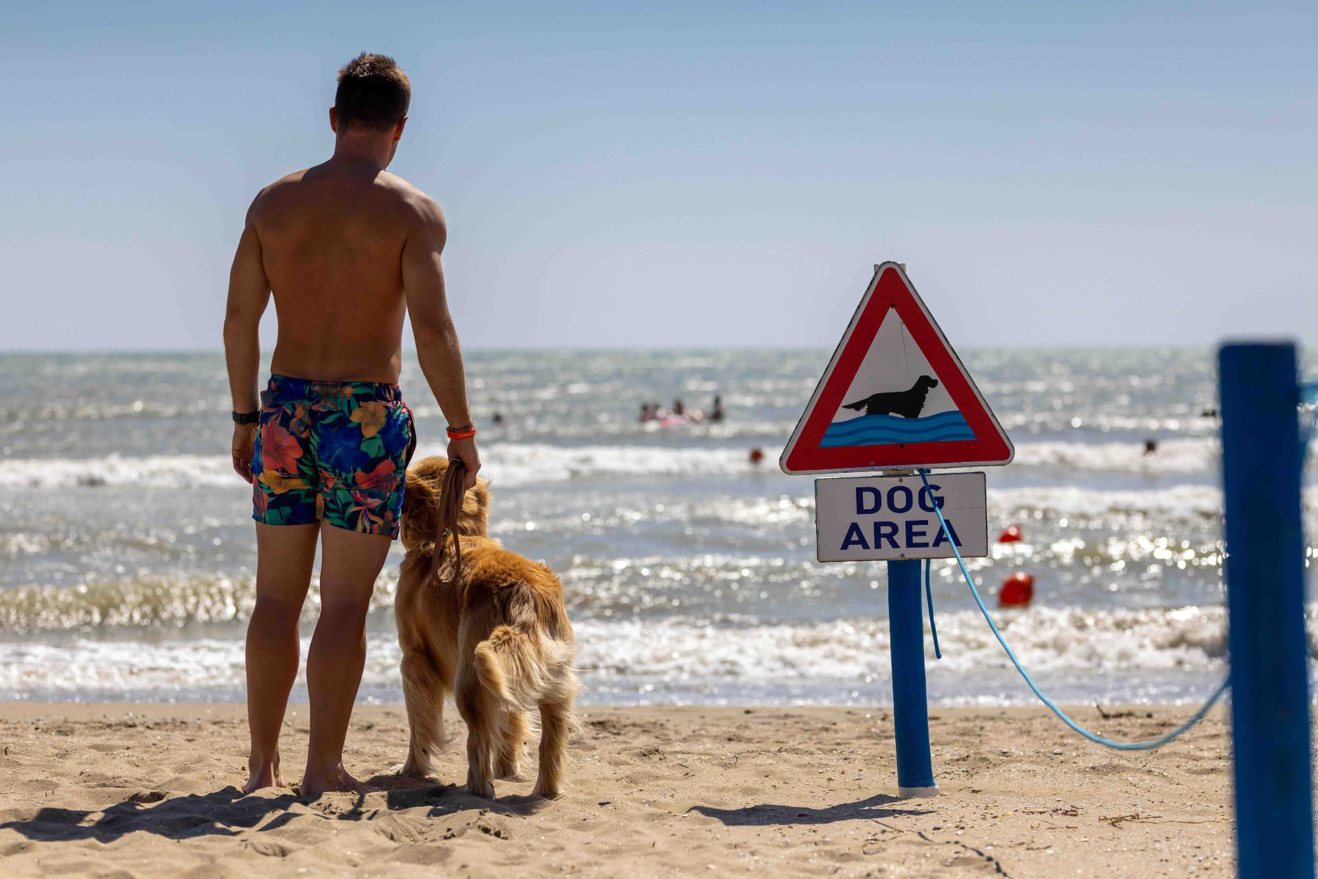 BiDogBeach - foto BiHoliday