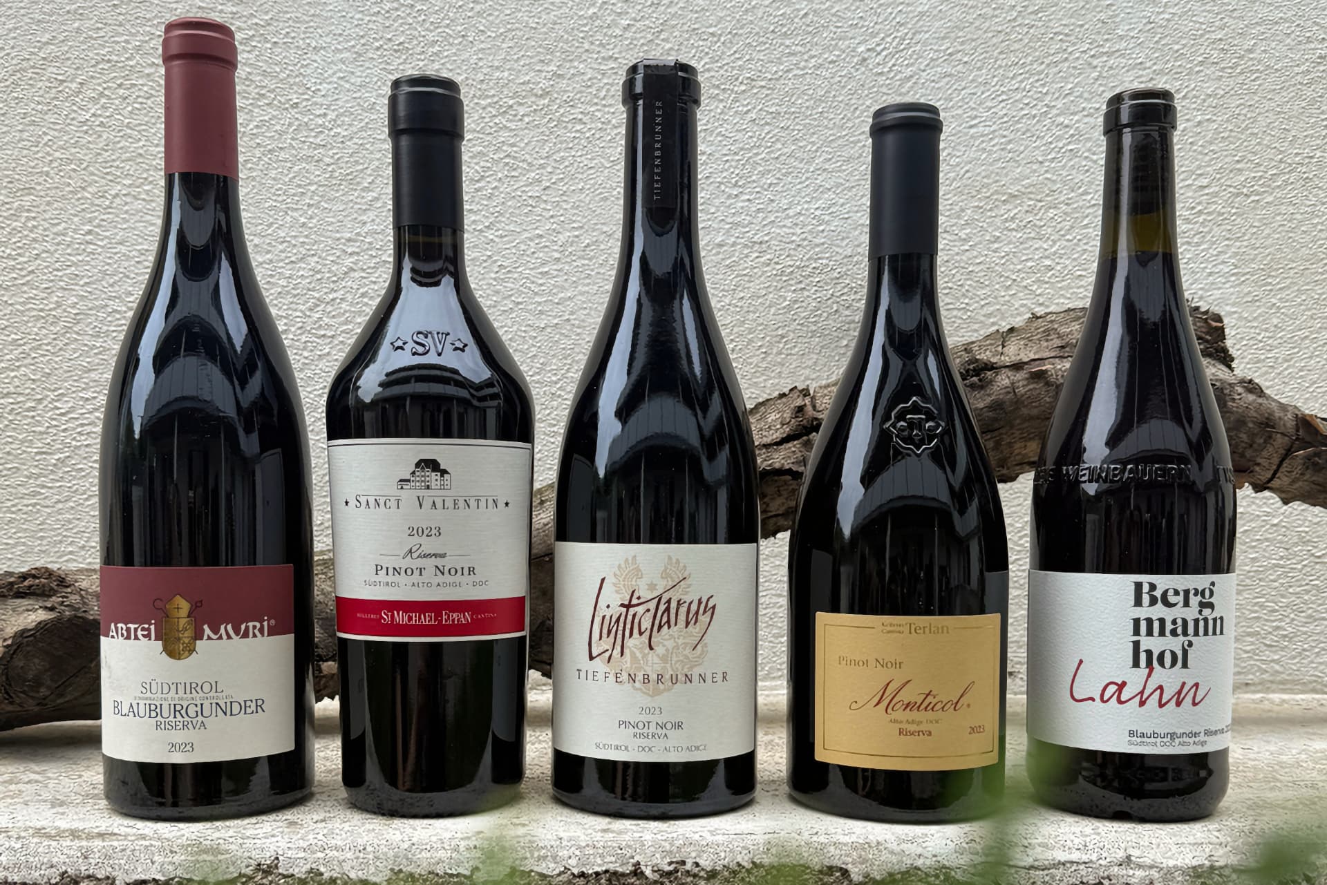 I primi cinque classificati - Giornate del Pinot nero - foto Kathrin Larcher