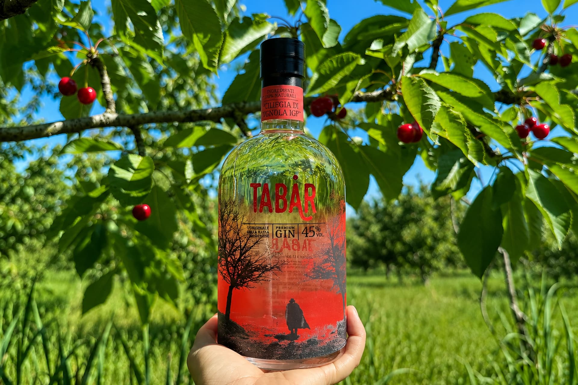 Gin Tabar Ciliegia di Vignola Igp