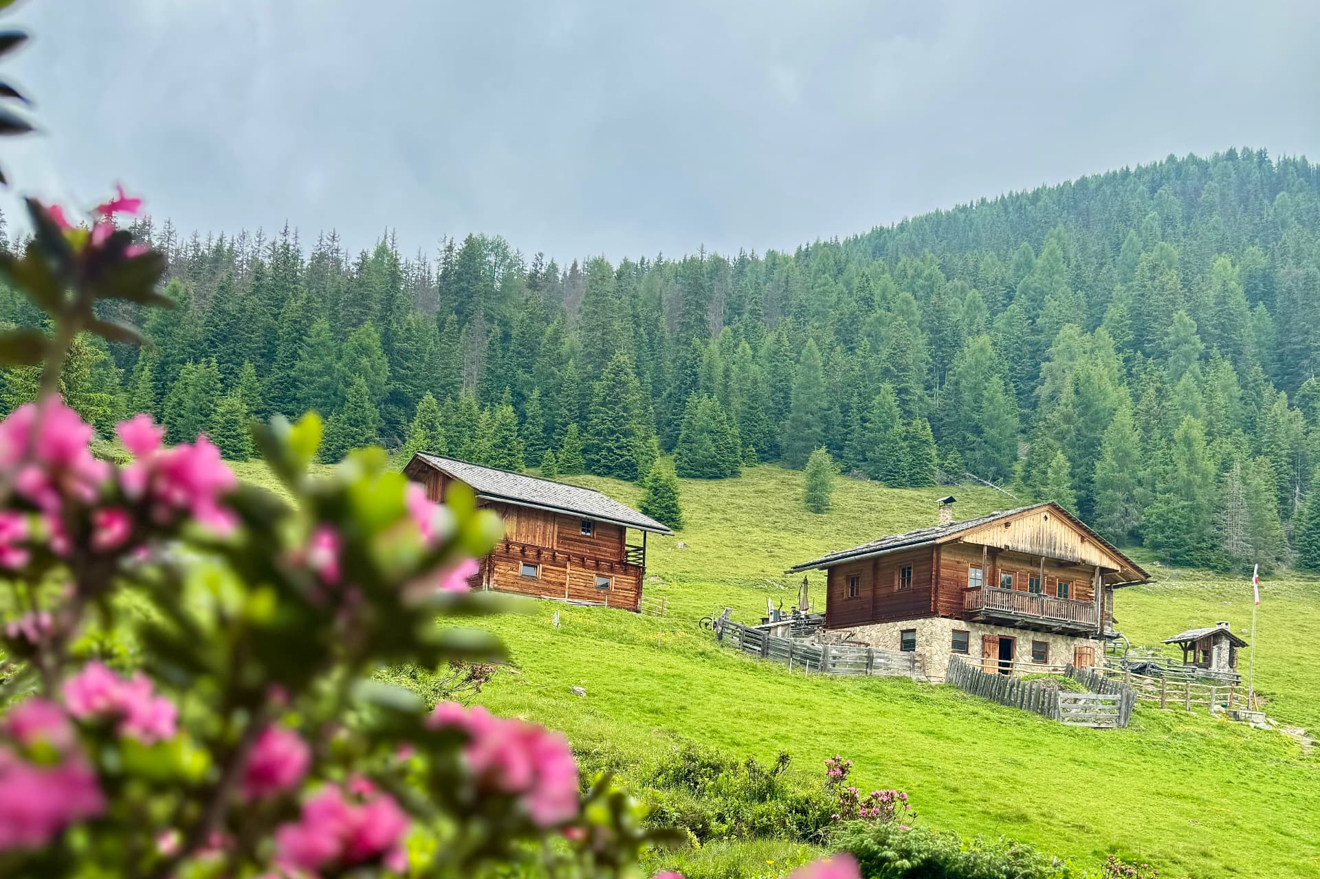 Houfa Hitte - foto TG Gsiesertal