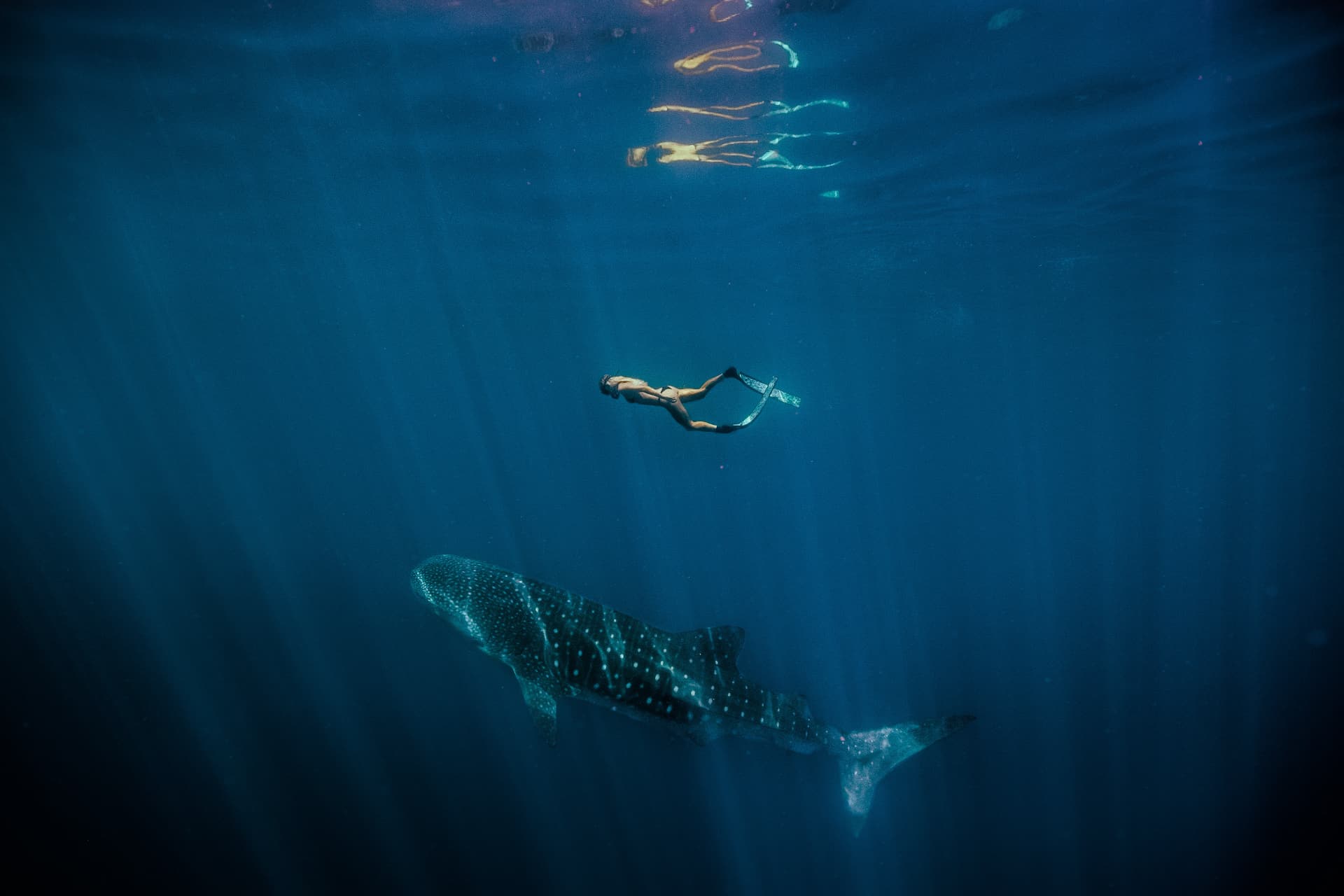 Ningaloo Marine Park - foto Tourism Western Australia