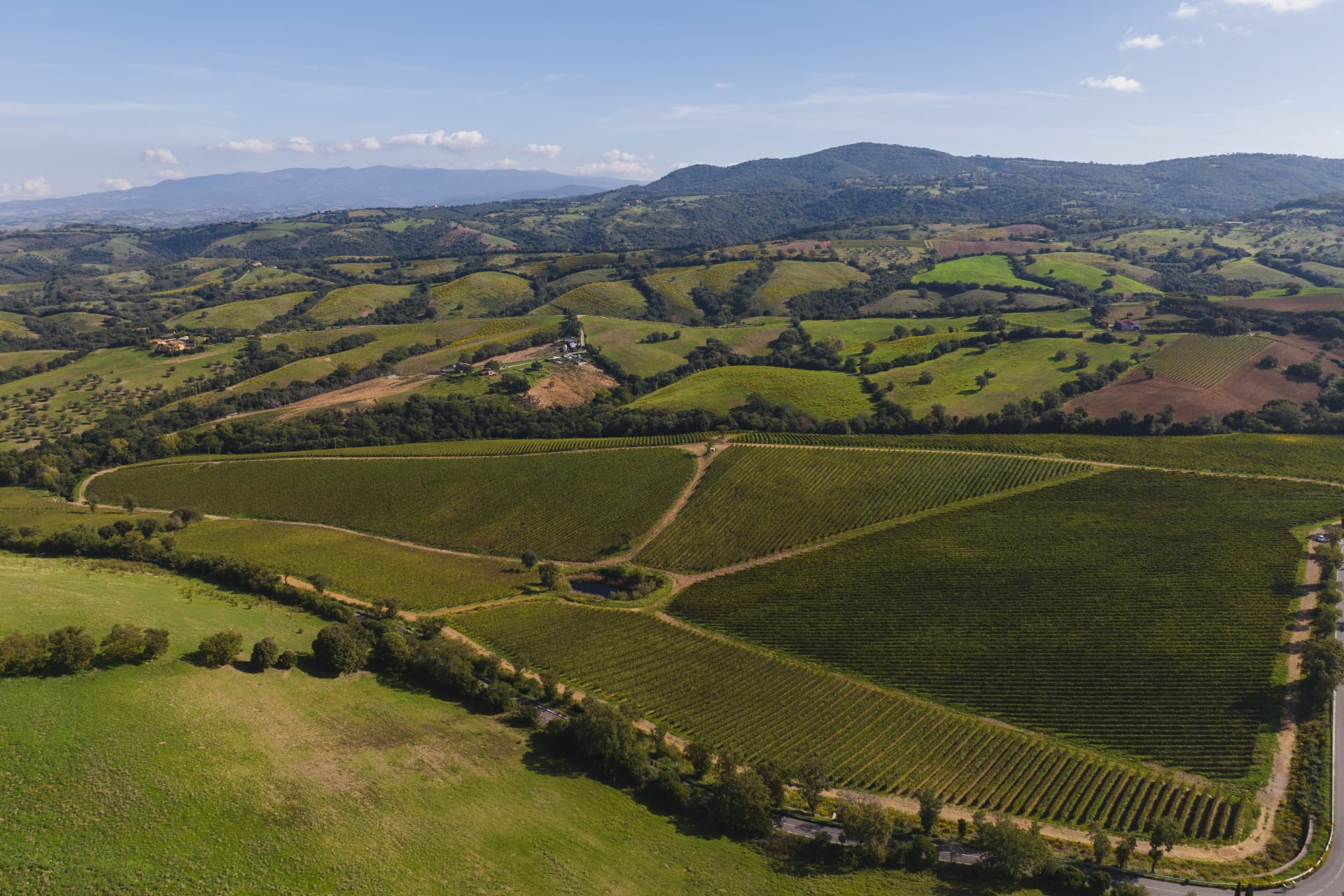 Doc Maremma Toscana vigne zona Preselle Invaso