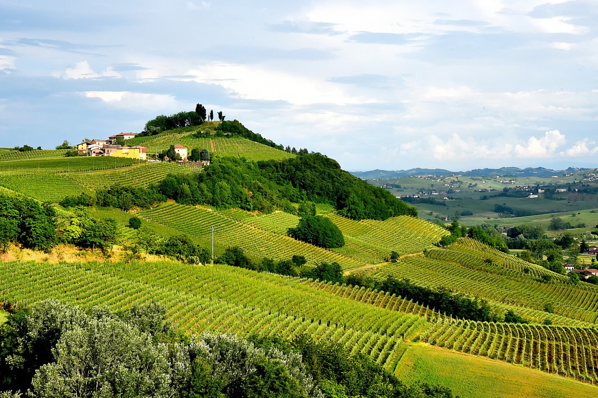 La cantina Gozzelino e il Bricco Lù