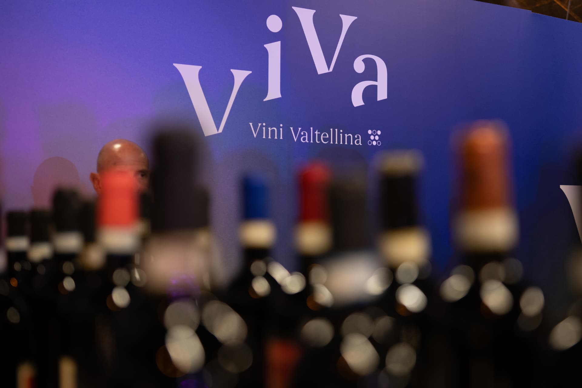 ViVa Valtellina