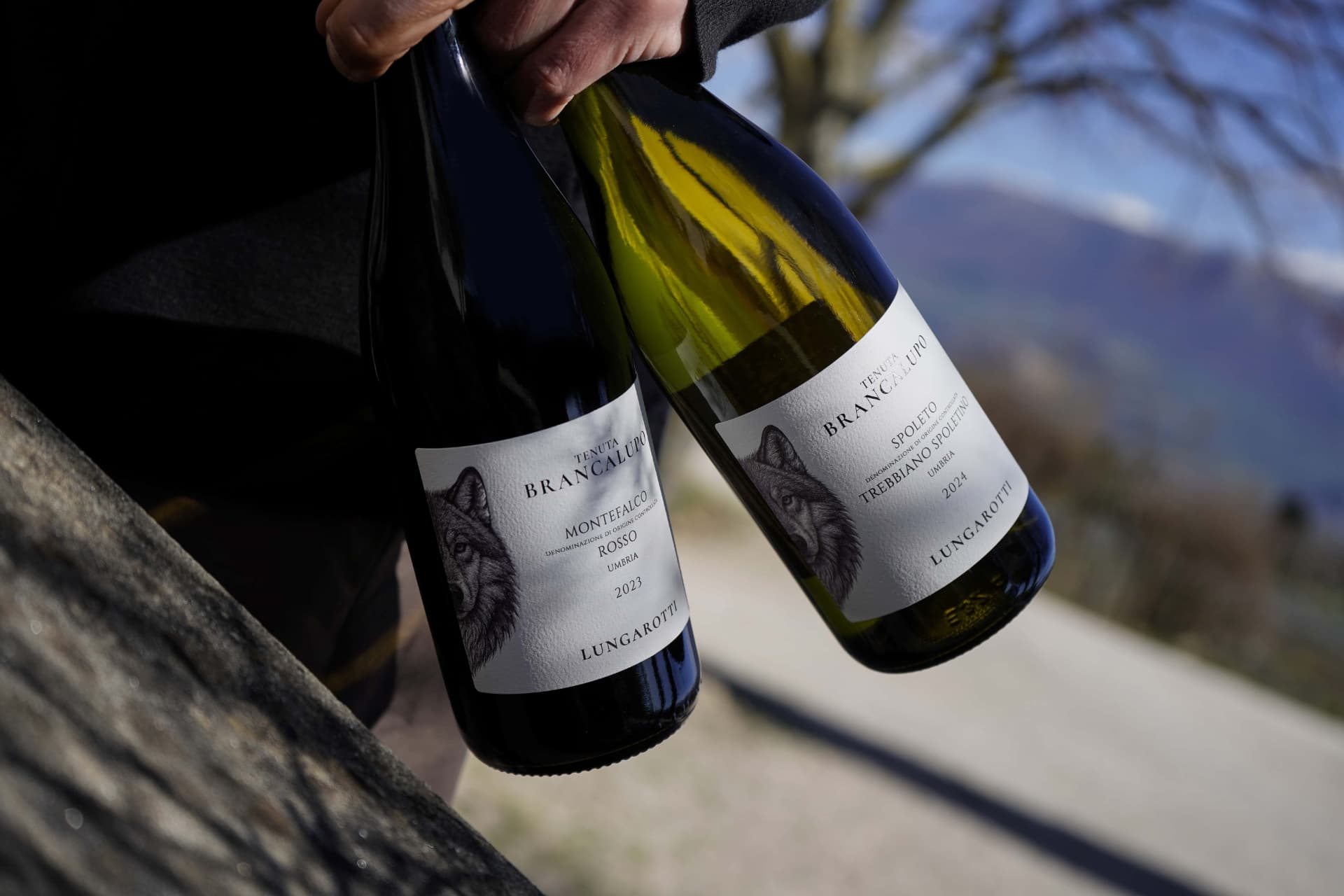 Tenuta Brancalupo - vini