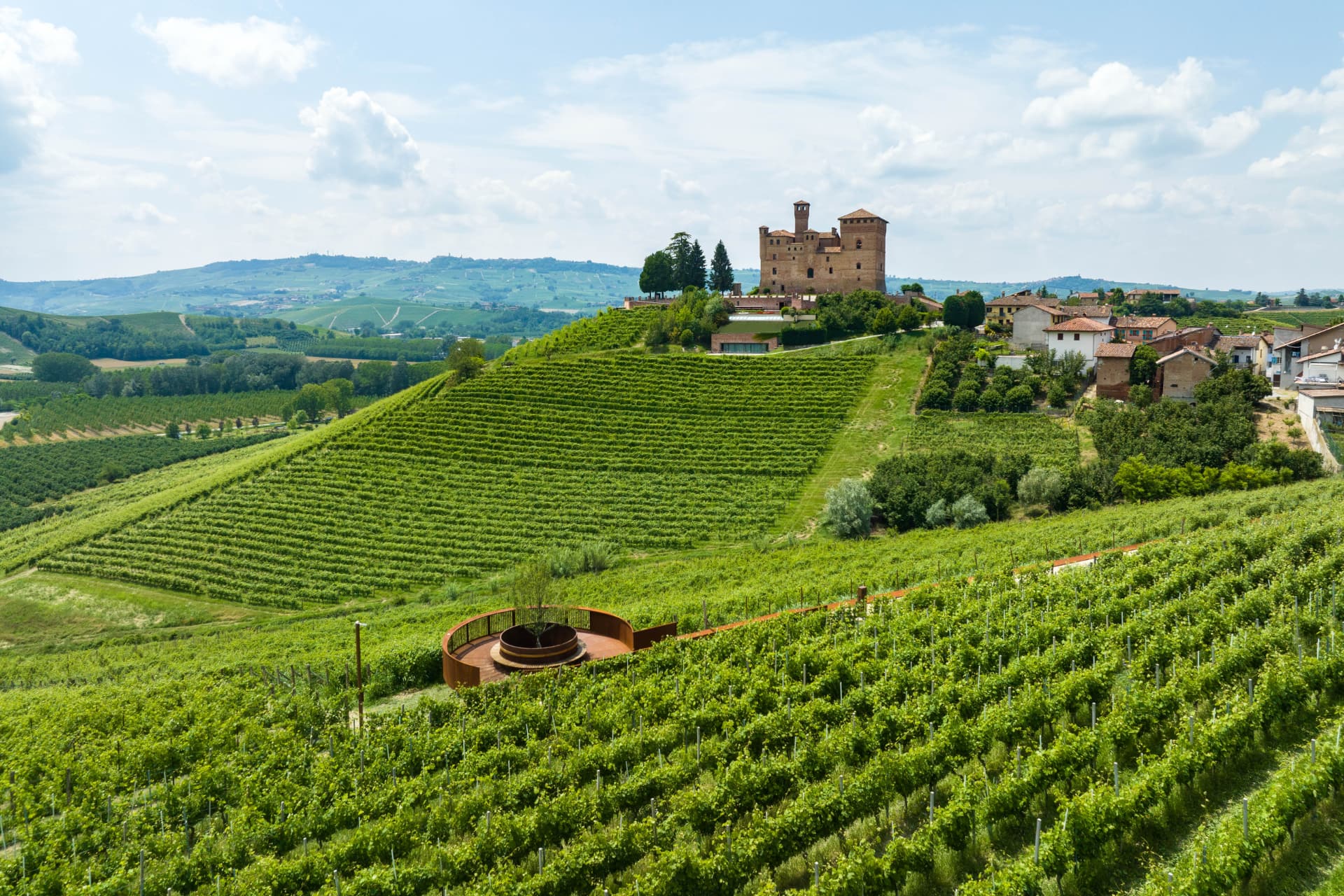 Castello di Grinzane Cavour e vigna Gustava