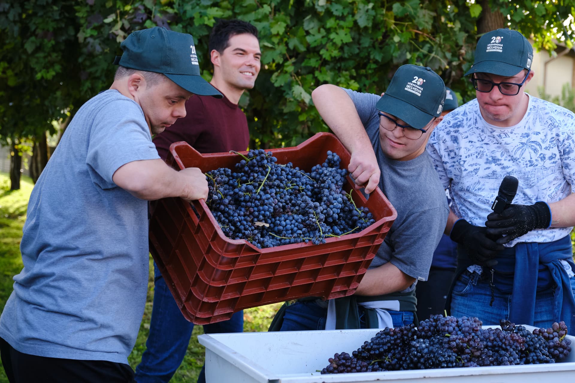 Vendemmia inclusiva