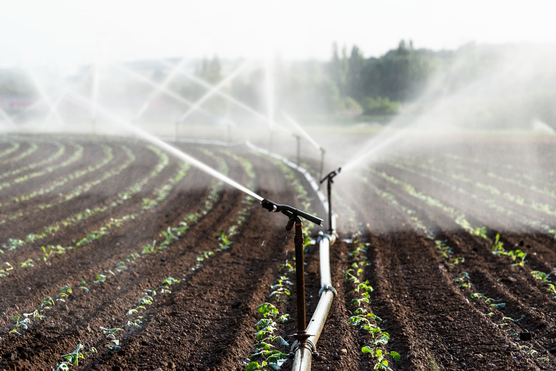 Acqua in agricoltura