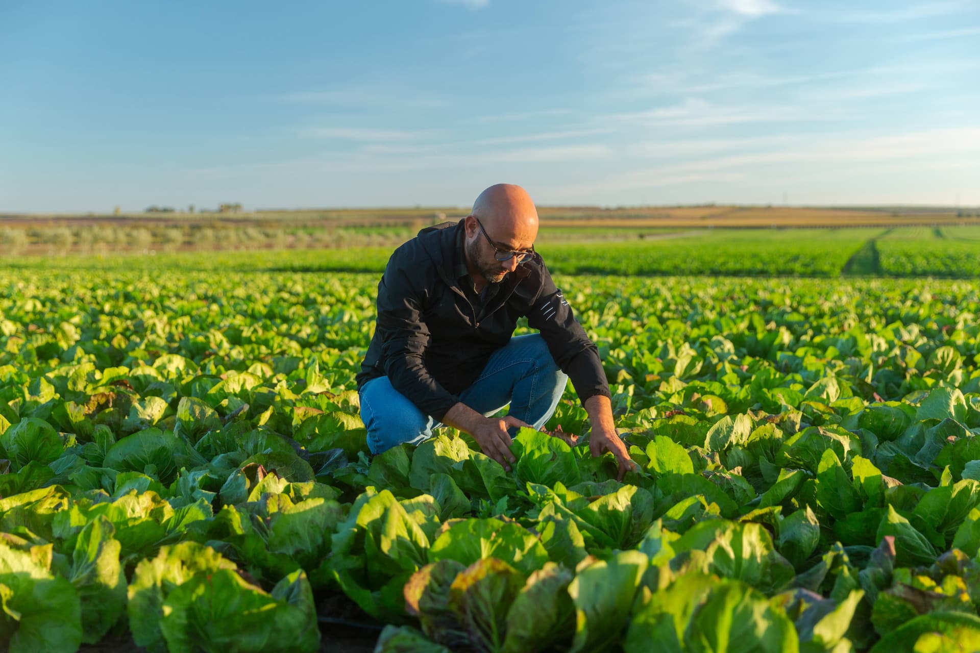Azienda Agricola Posta Faugno