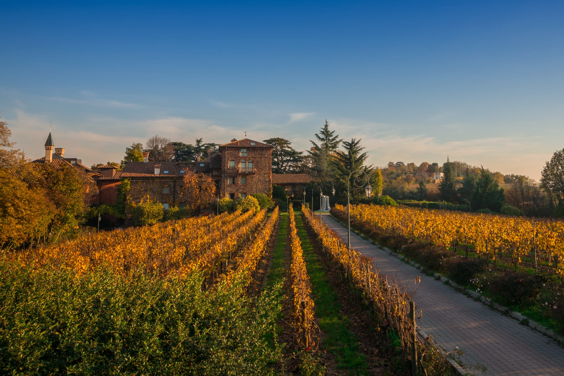L'Albereta