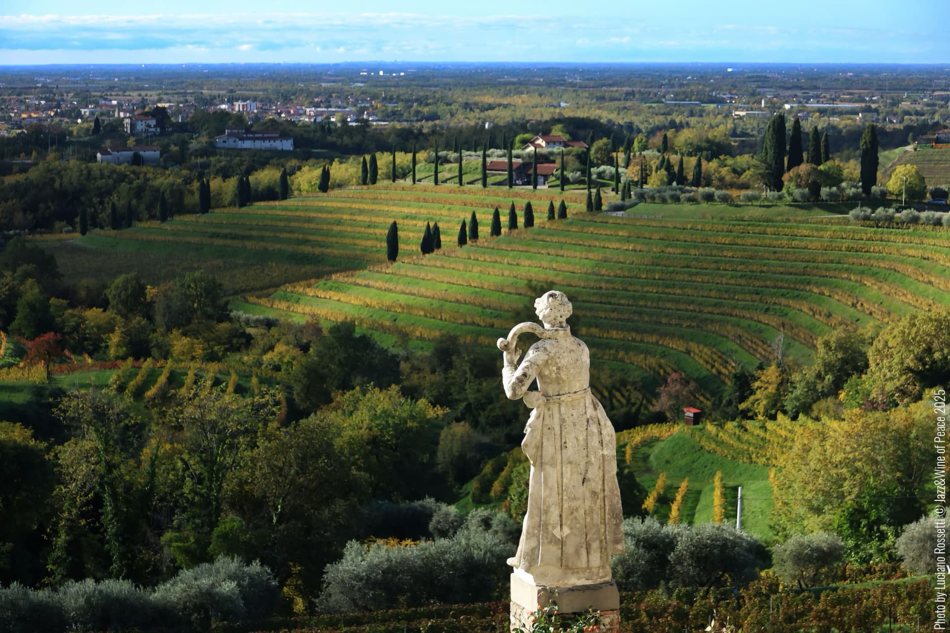 Paesaggio del Collio