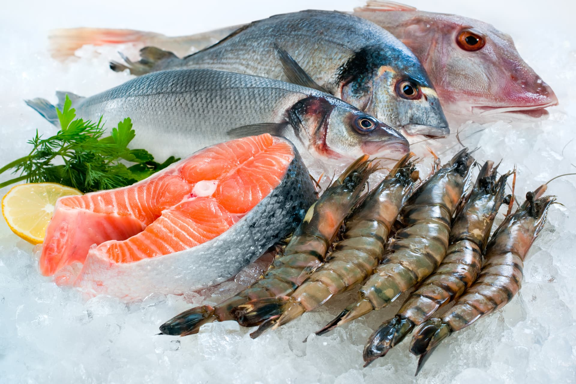 Pesce fresco