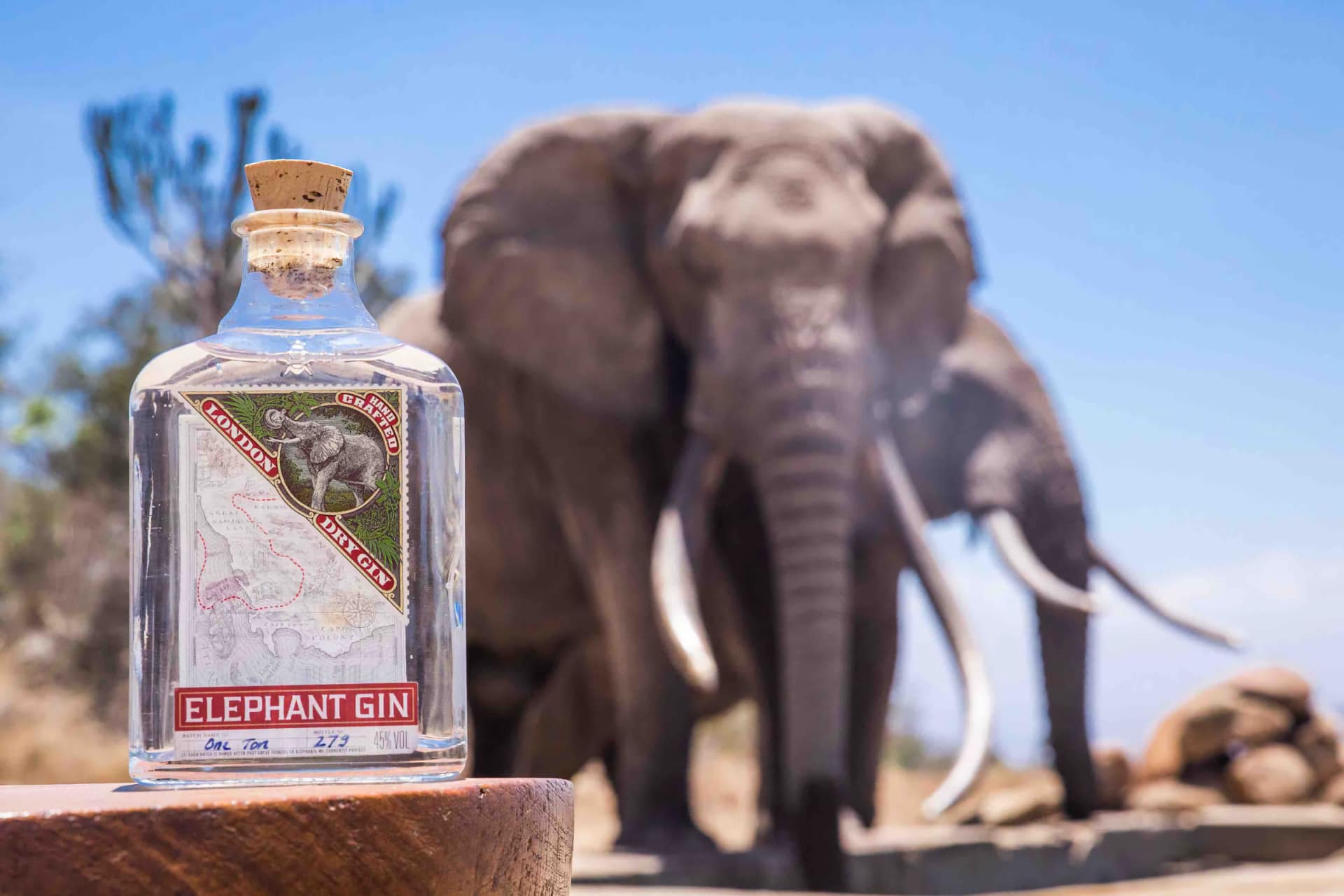 Elephant Gin
