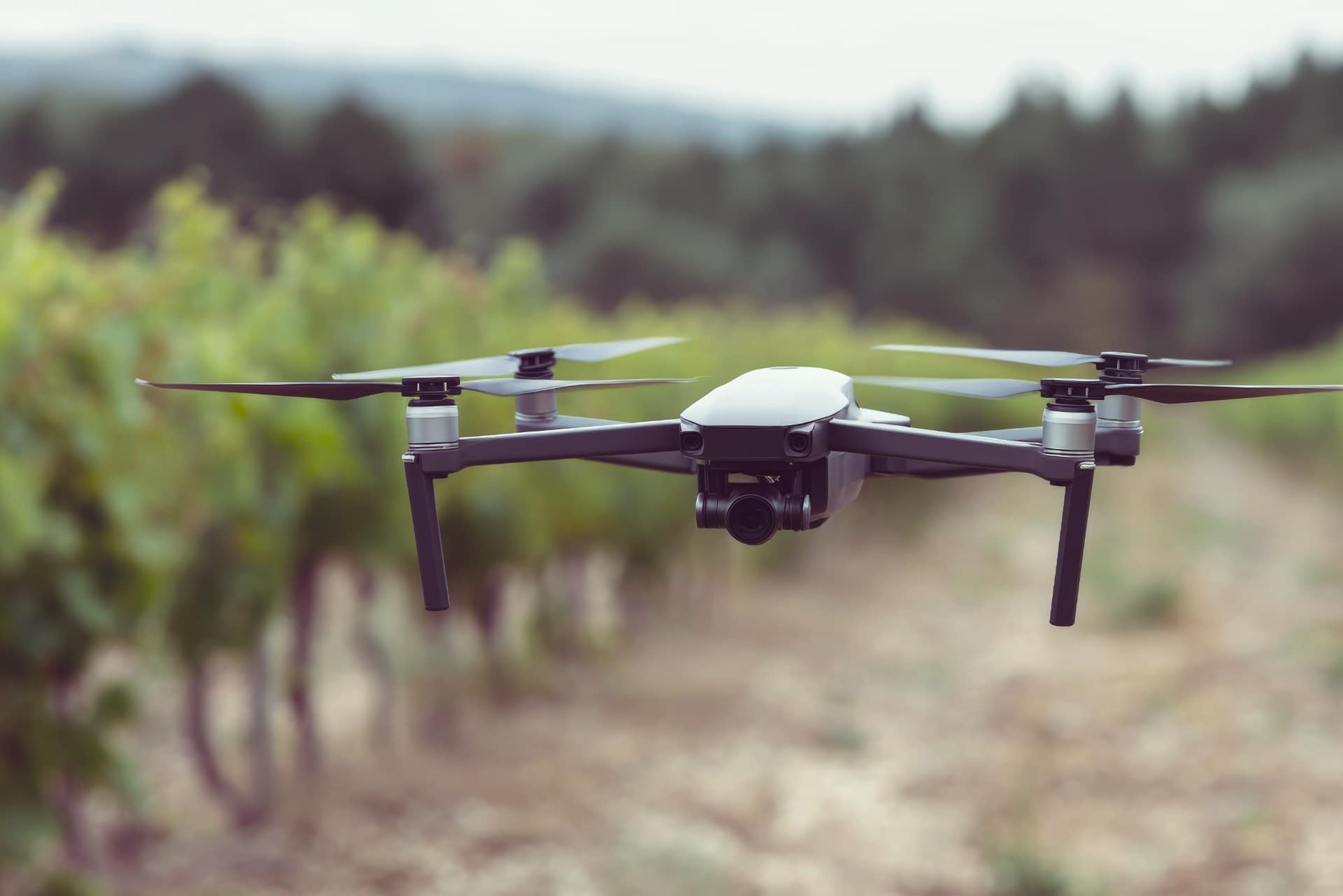 Droni per controllare i vigneti