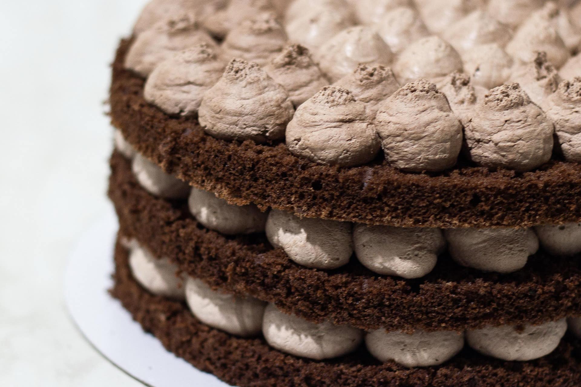Torta a base di Pan di Spagna