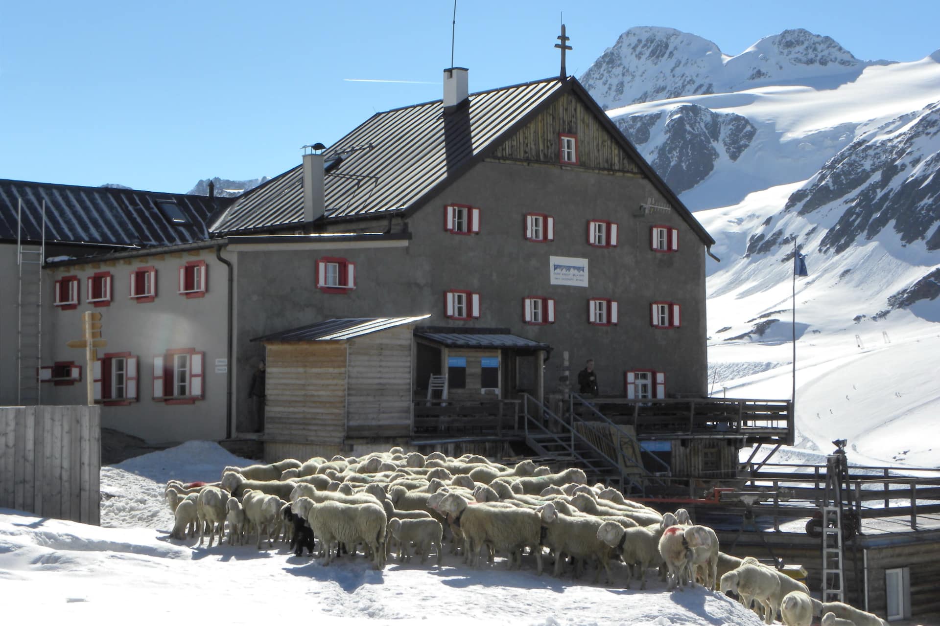 Transumanza in Val Senales