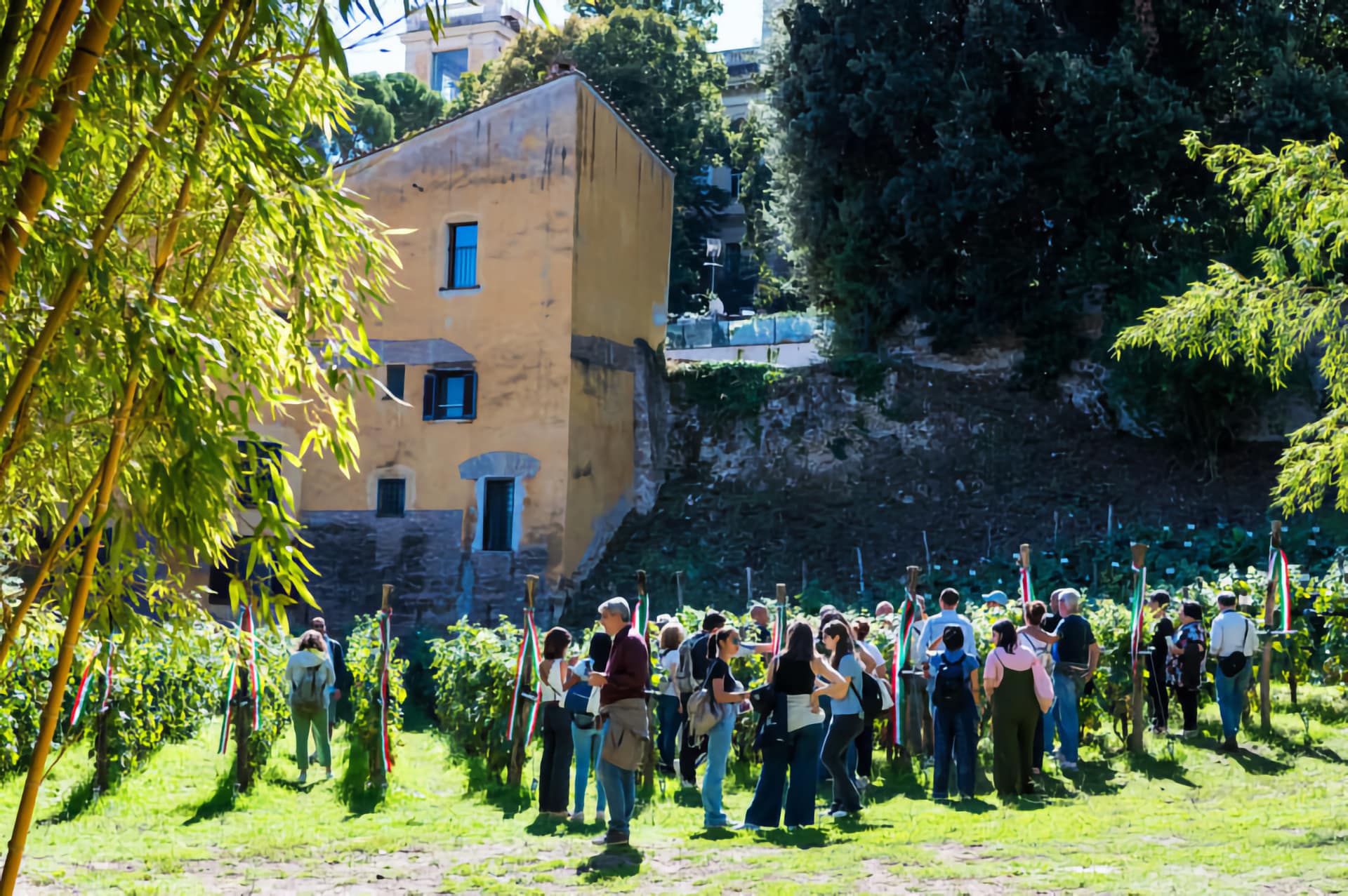 Vendemmiata Romana Vigneto Italia - repertorio