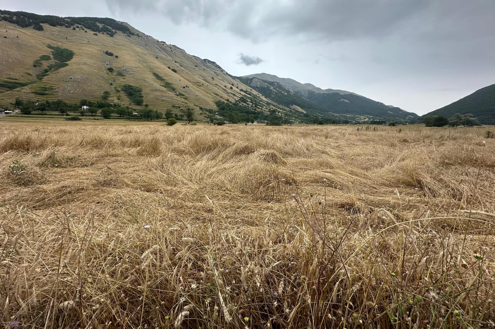 Campo di sècena del Matese
