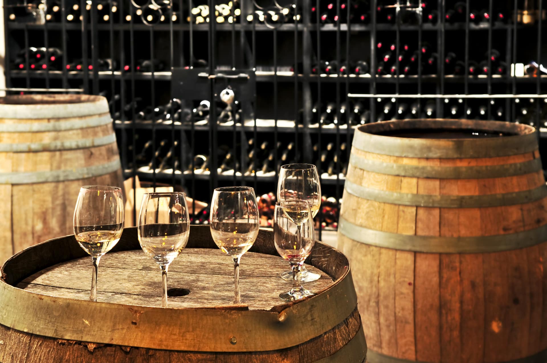 Degustazione in cantina