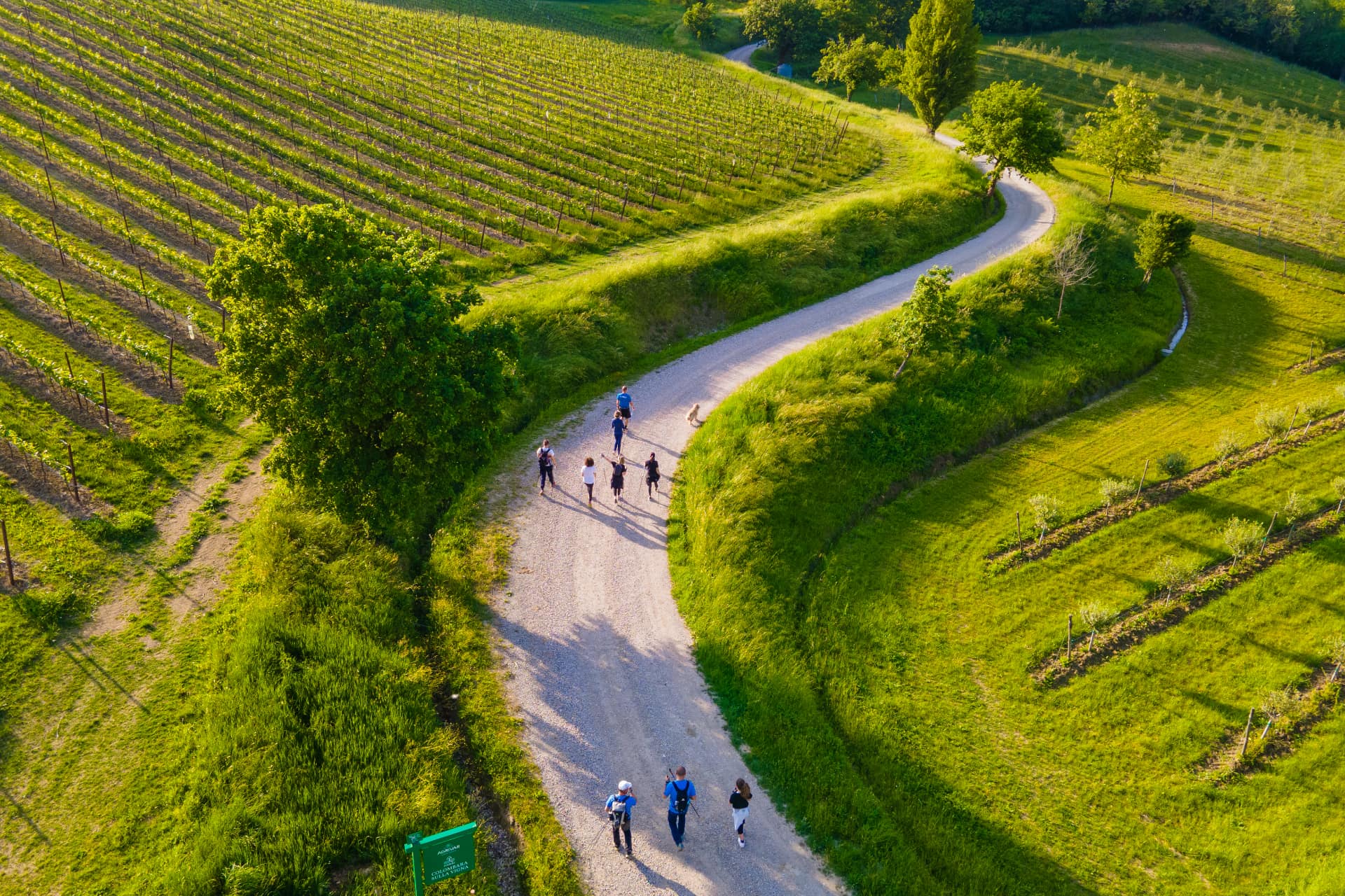Palazzo di Varignana Wine Trekking