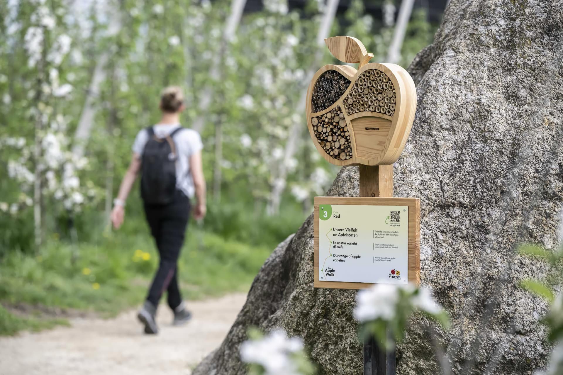 the Apple Walk - foto Helmuth Rier