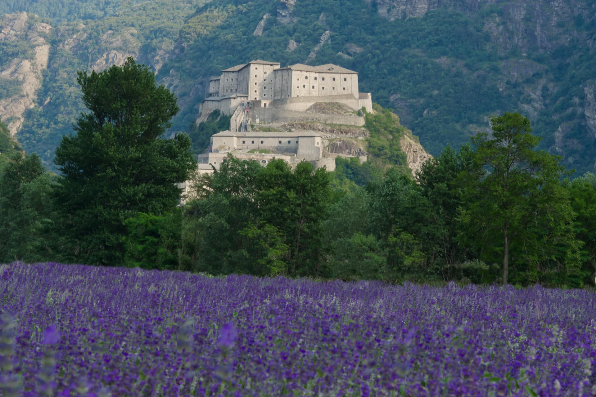 Forte di Bard tra lavanda