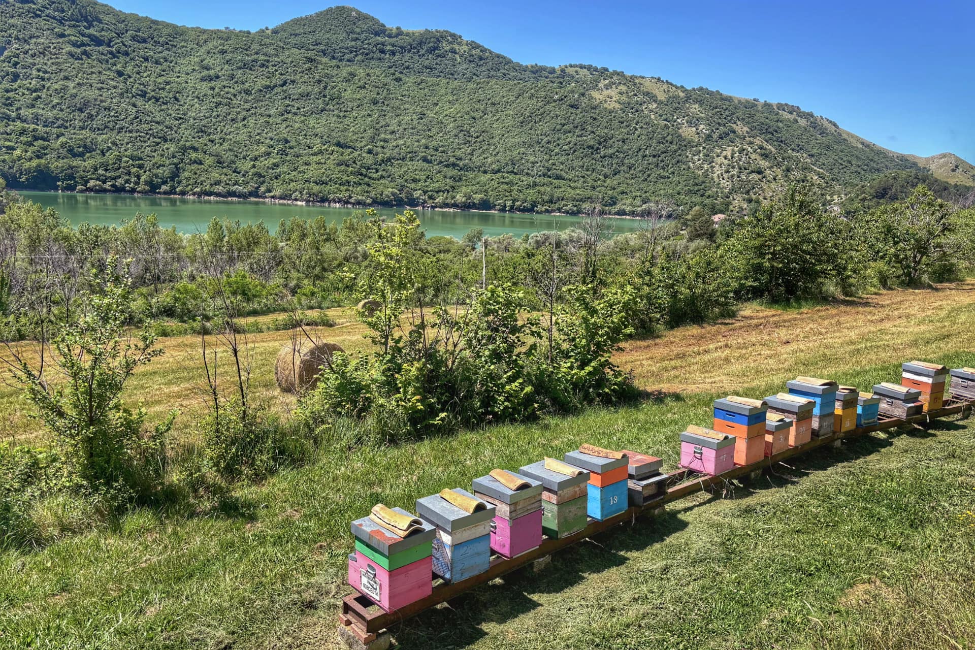 Parco nazionale del Matese alveari