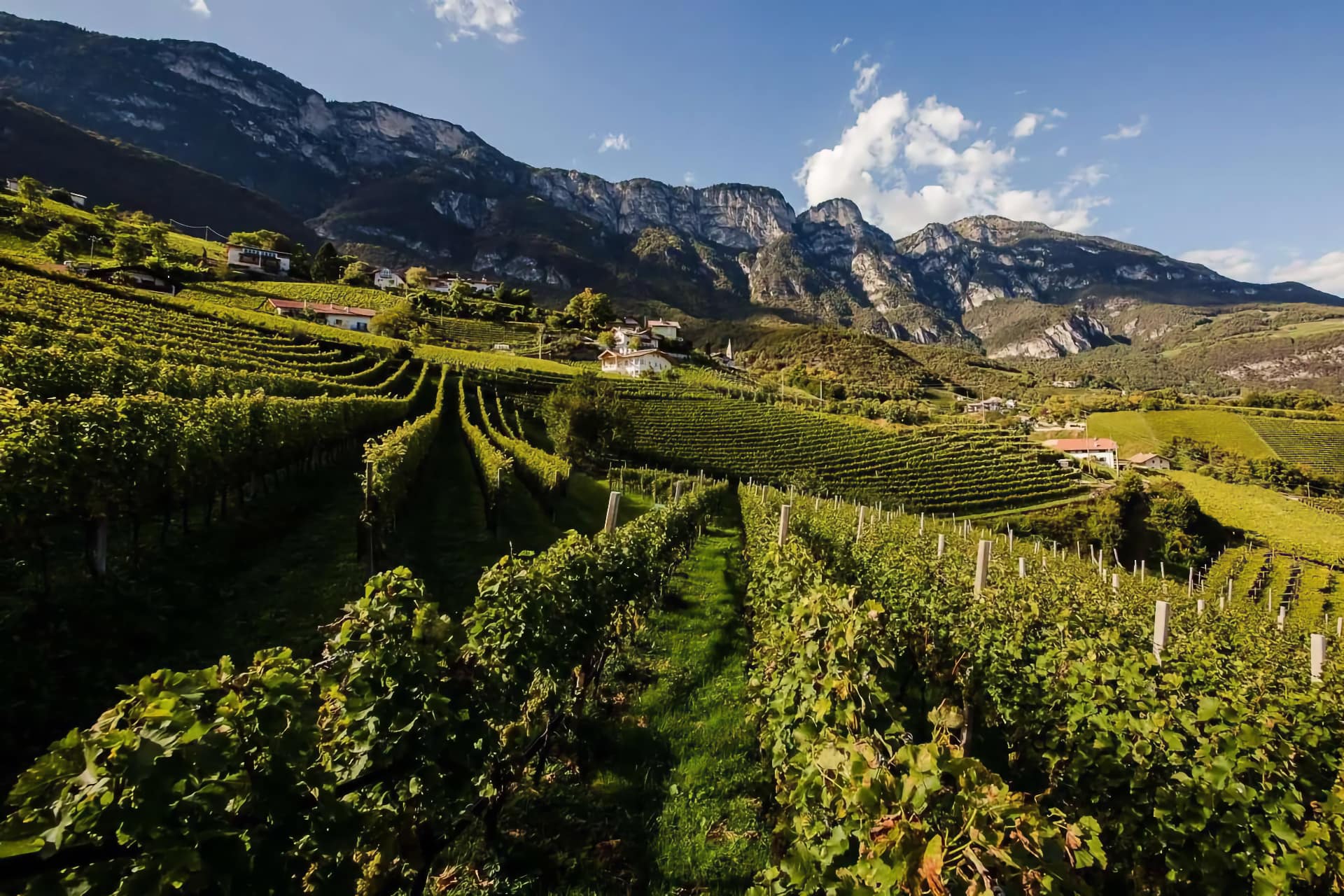 Alto-Adige