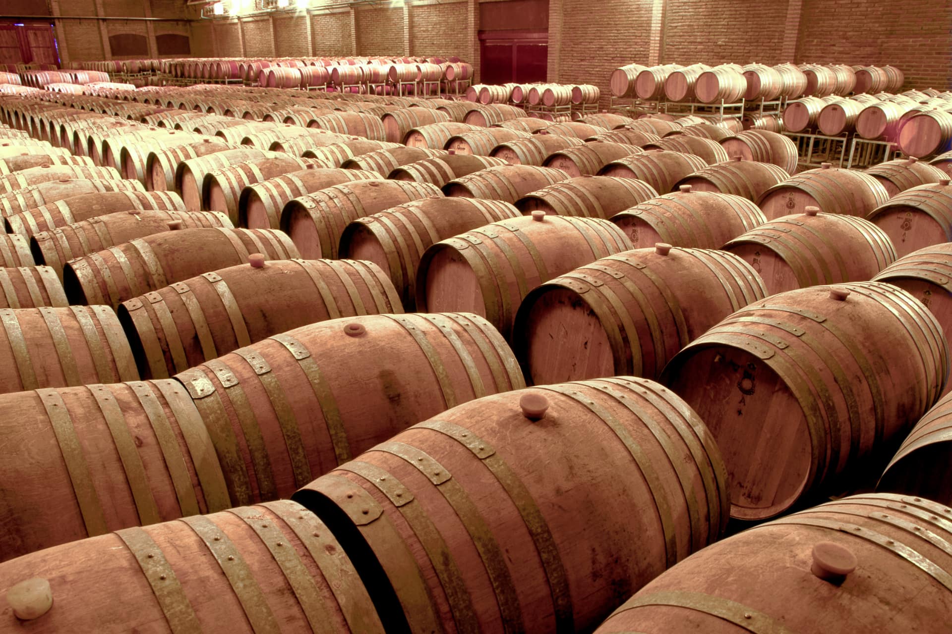 Botti piene di vino