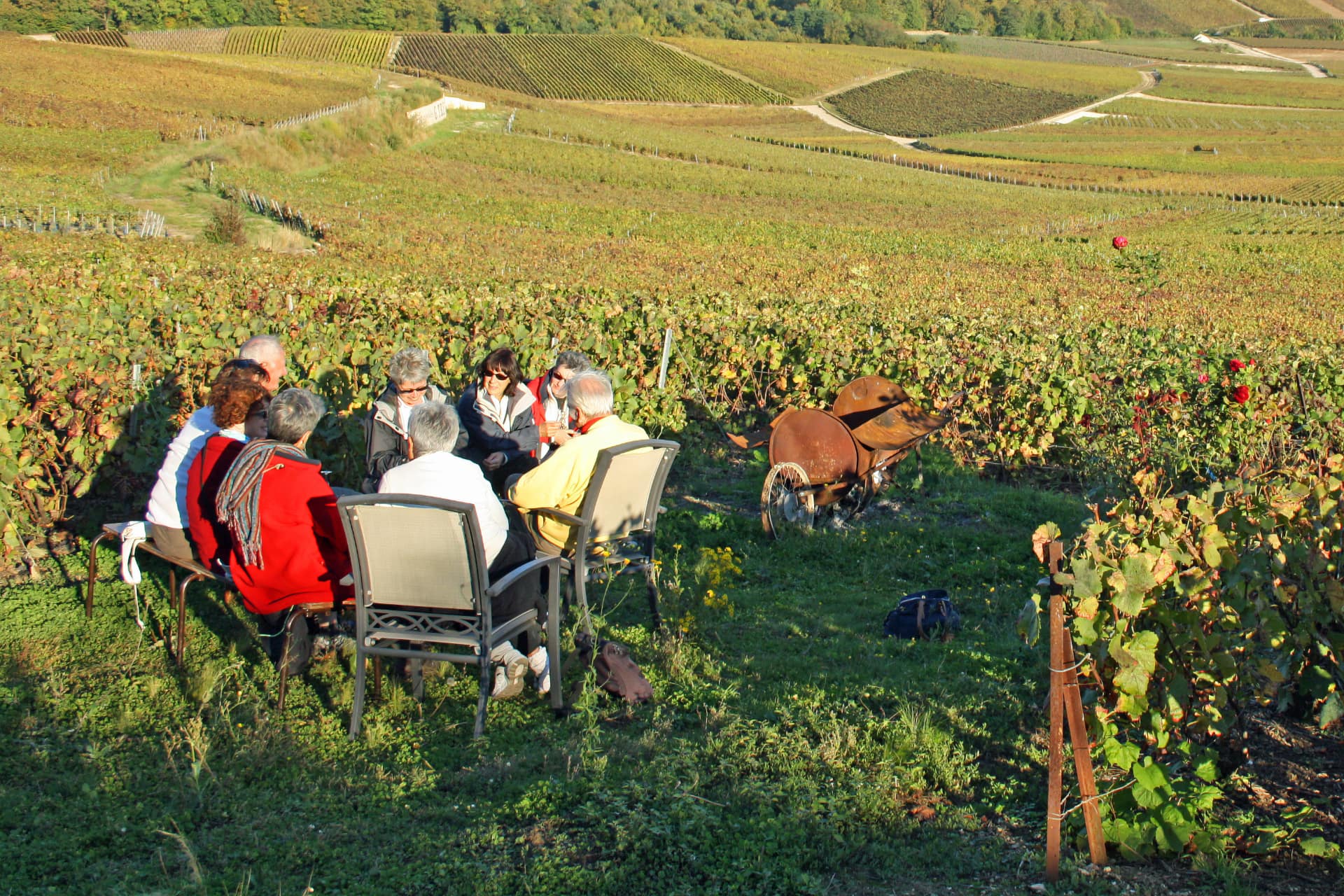 Degustazione vino in vigna