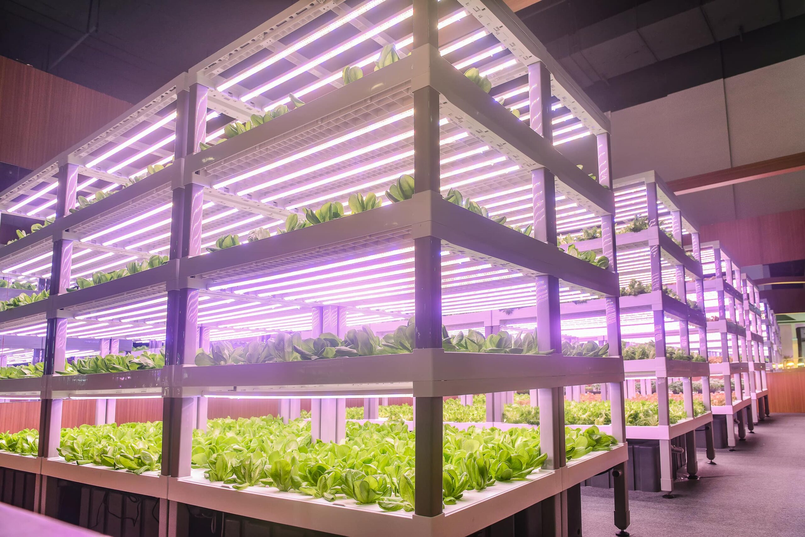Food Tech per il cibo del futuro