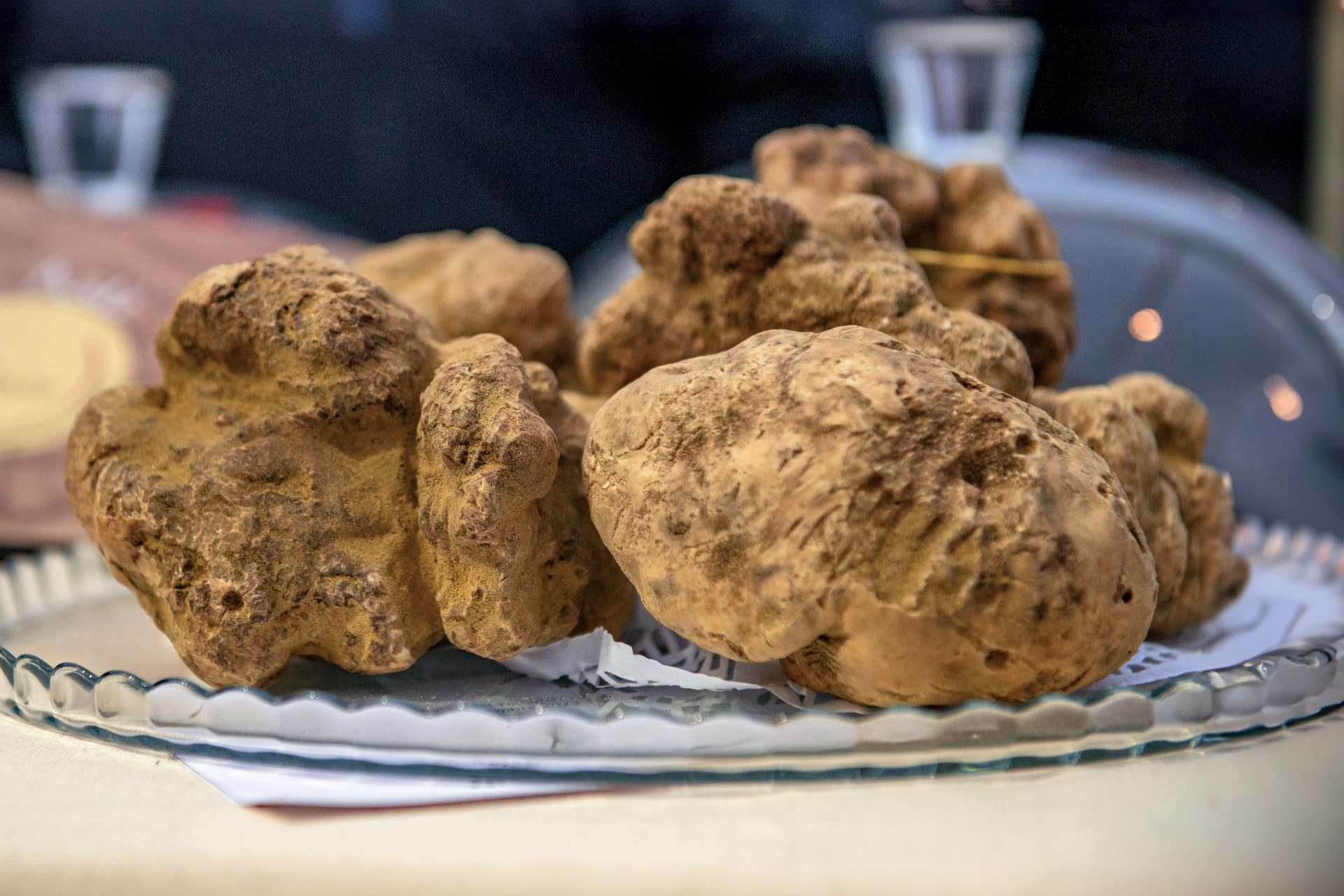 Fiera Nazionale del Tartufo - I Gioielli del Territorio - Asti