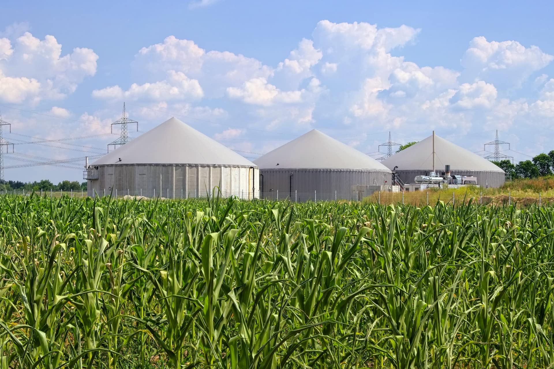 Produzione biogas