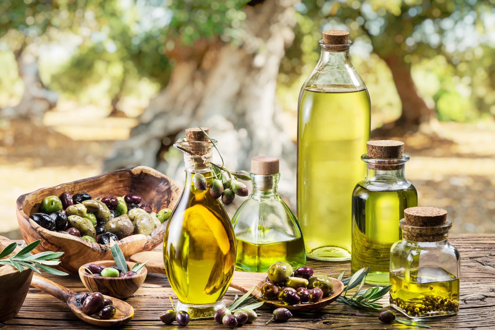 Olio oliva