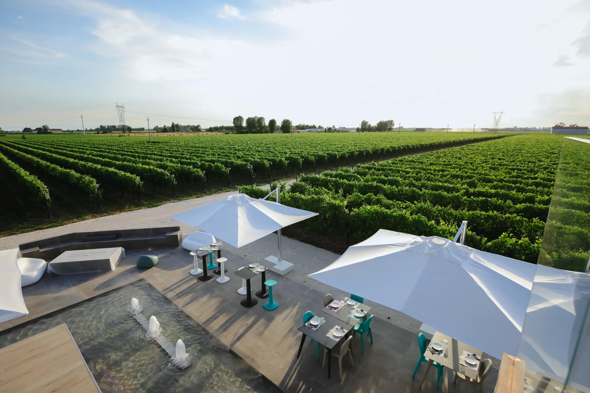 VentiVenti cantina e vigneti